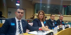 31 January 2017 The National Assembly delegation at the Interparliamentary Conference on “Local and Regional Authorities in the Enlargement Region and the EU Regional Policy”